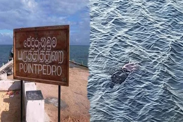 யாழ்.பருத்தித்துறை கடற்கரையில் கரையொதுங்கிய ஆணின் சடலம்