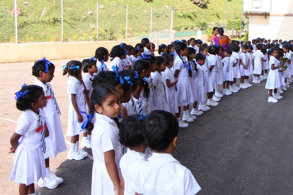 இலங்கையின் ஆரம்ப பாடசாலைகளில் மாணவர்களின் எண்ணிக்கையில் திடீர் வீழ்ச்சி | Decline In Number Of Students In Primary Schools இலங்கையின் ஆரம்ப பாடசாலைகளில் மாணவர்களின் எண்ணிக்கையில் திடீர் வீழ்ச்சி | Decline In Number Of Students In Primary Schools
