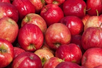 பிரித்தானிய நாட்டில் இருந்து இந்தியாவுக்கு இறக்குமதியாகும் ஆப்பிள்!