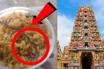 பிரசாதத்தில் குடியிருந்த குட்டி பாம்பு ; பக்தர்களுக்கு காத்திருந்த அதிர்ச்சி