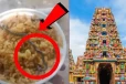பிரசாதத்தில் குடியிருந்த குட்டி பாம்பு ; பக்தர்களுக்கு காத்திருந்த அதிர்ச்சி