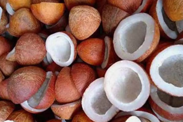 நாட்டில் சடுதியாக அதிகரித்த கொப்பரை விலை | Coconut Copra Price Increase In Sri Lanka