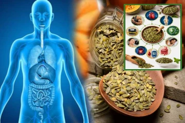 தினமும் ஒரு கையளவு பூசணி விதைகள் - இந்த ஆரோக்கிய பிரச்சினைகள் வரவே வராது!
