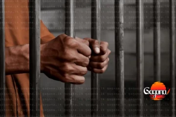 හොරෙන් මැණික් ගරපු හොරෙක් මාට්ටු