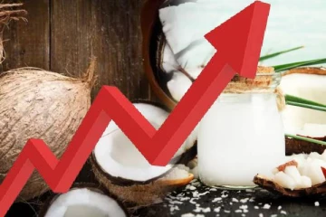 விண்ணைத் தொடும் தேங்காயின் விலை: உணவு உற்பத்தி பாதிப்படையும் அபாயம்