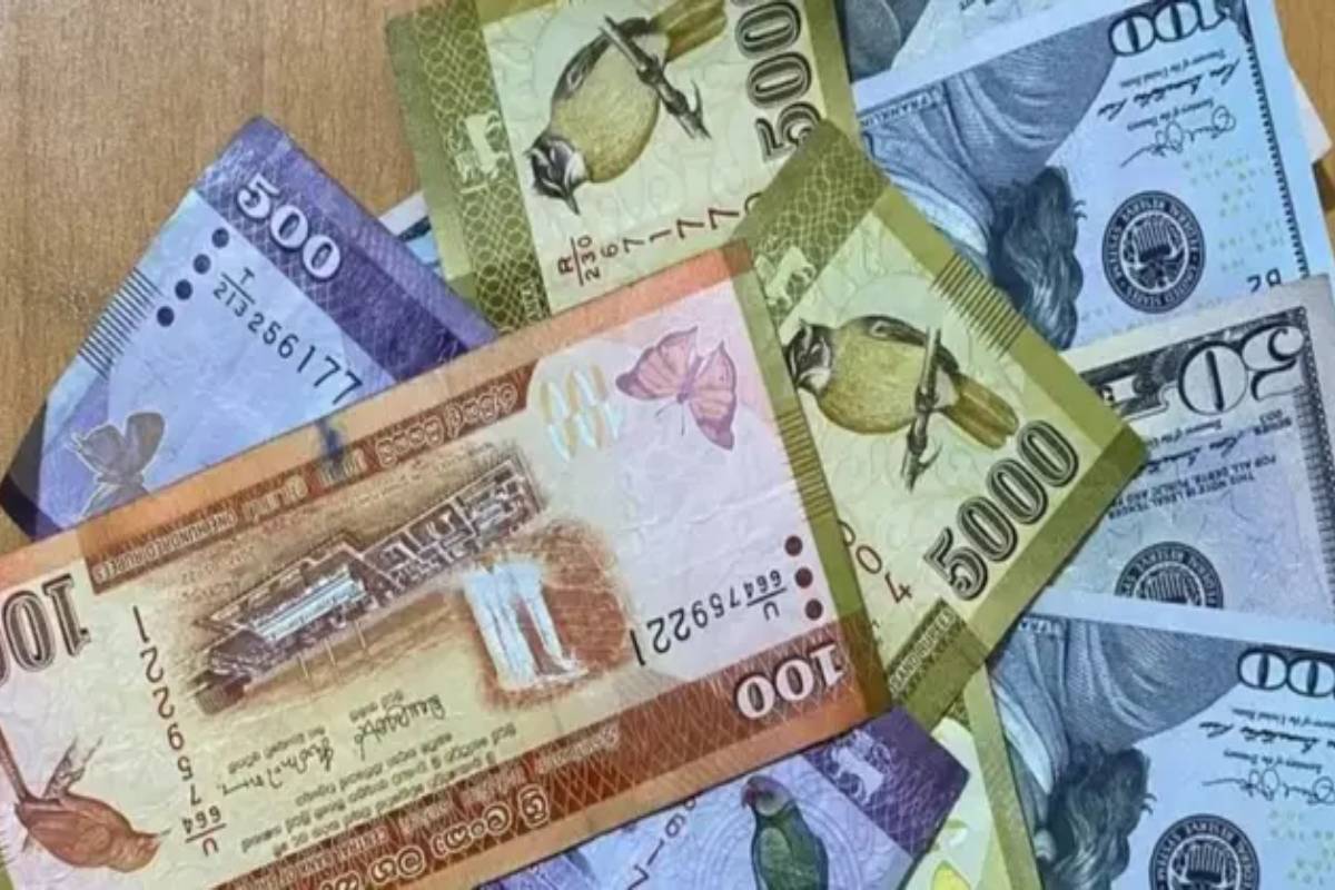 இலங்கையர்களுக்கு அதிகரிக்கும் சுமை! எரிபொருளை அடுத்து உயரும் சேவைக் கட்டணங்கள் - அரசாங்கத்தின் அறிவிப்பு | Why Fuel Price Hiked