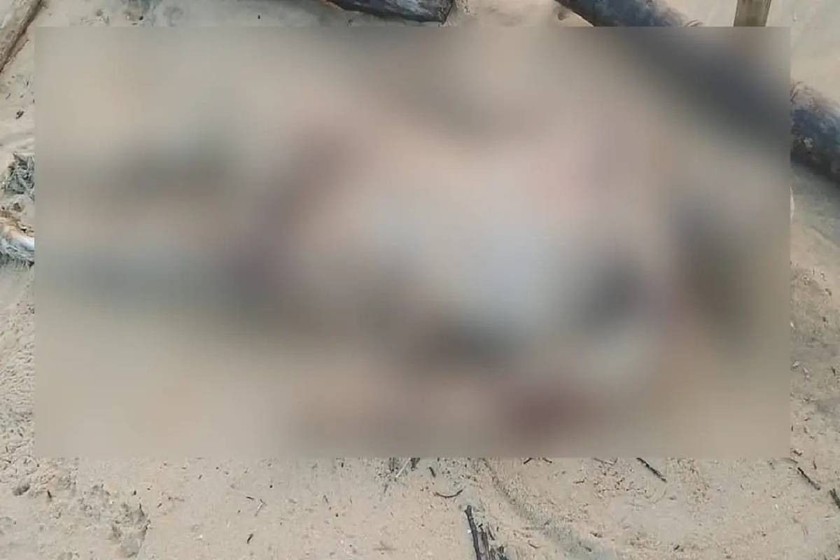கற்பிட்டி கடற்கரையில் அடையாளம் தெரியாத சடலம் மீட்பு | Body Recovered State On The Kalpitiya Beach கற்பிட்டி கடற்கரையில் அடையாளம் தெரியாத சடலம் மீட்பு | Body Recovered State On The Kalpitiya Beach