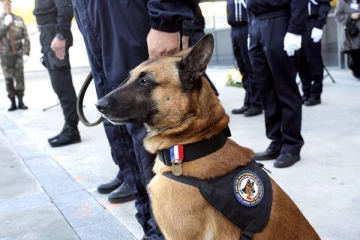 பிரான்ஸில் போதைப்பொருள் கும்பலை காட்டிக்கொடுத்த நாய்!