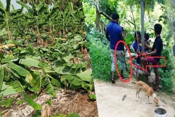தென் பகுதியில் தமிழர்களுக்கு குண்டர்களால் ஏற்பட்ட நிலை