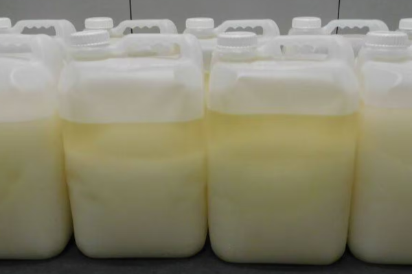 கனடாவிலிருந்து போதைப் பொருள் கடத்திய 8 பேருக்கு 95 ஆண்டுகள் சிறைத் தண்டனை | Men Jailed In Plot To Smuggle Meth From Canada