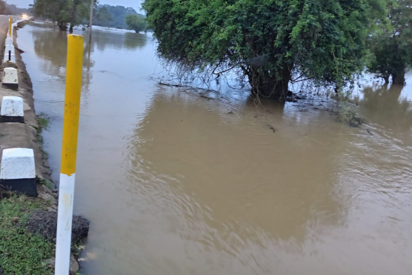 வெருகல் பகுதியில் உட்புகுந்த வெள்ளநீரால் பெரும் அவதி | Floodwaters Cause Severe Hardship In Verugal Area