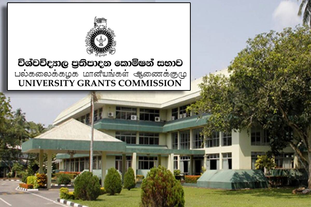 ஆசிரியர் வெற்றிடங்களுக்கு பட்டதாரிகளை இணைப்பது குறித்து எழுந்துள்ள குற்றச்சாட்டு | Recruit Private Graduates To Fill Teacher Vacancy ஆசிரியர் வெற்றிடங்களுக்கு பட்டதாரிகளை இணைப்பது குறித்து எழுந்துள்ள குற்றச்சாட்டு | Recruit Private Graduates To Fill Teacher Vacancy