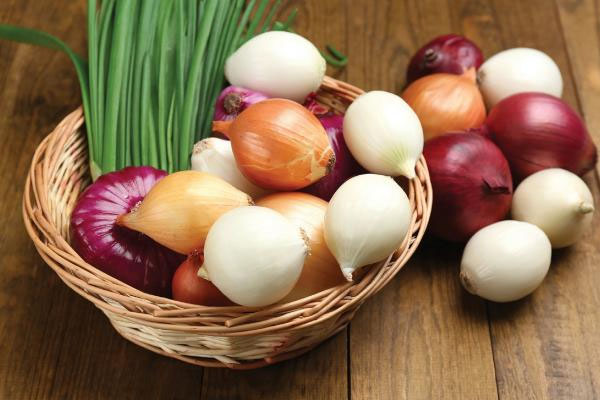 வெங்காய ஏற்றுமதிக்கு 40 சதவீத வரி | 40 Percent Tax On Onion Exports