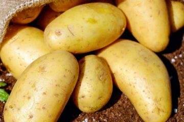 உருளைக் கிழங்கிற்கான வரி உயர்வு