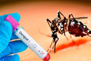 கோவிட் மற்றும் டெங்கு பரவலை கட்டுப்படுத்த விசேட குழுக்கள்! - ஜனாதிபதி நியமனம்