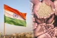தீவிர வறுமையை ஒழித்த இந்தியா: பொருளாதார வல்லுநர்கள் தகவல்