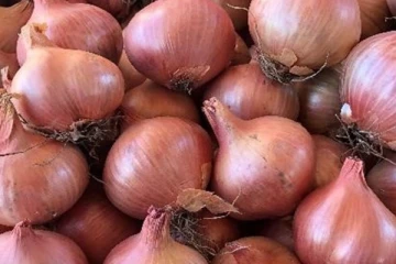 ලොකු ලූනු අපනයන තහනම දිගු කරයි