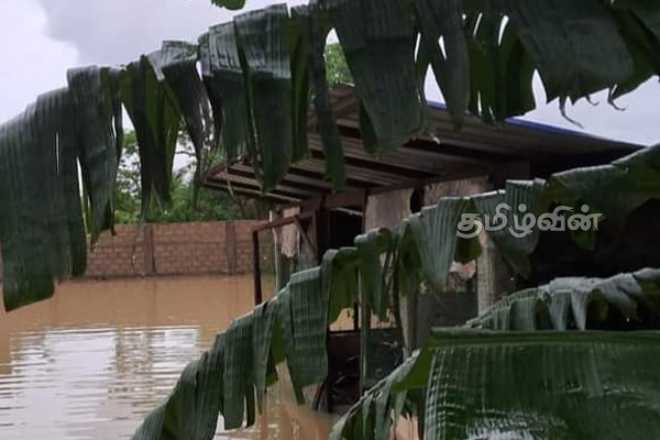 சீரற்ற காலநிலை காரணமாக கிளிநொச்சியில் பல குடும்பங்கள் பாதிப்பு (Photos) | Heavy Rains In Kilinochchi District