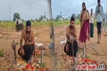 படம் எடுத்து நின்ற நாகப்பாம்பு... பூஜை செய்து அனுப்பி வைத்த பக்தர்! வைரலாகும் காணொளி