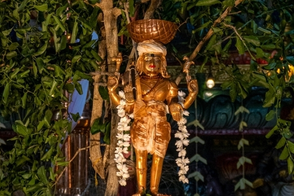 நல்லூர் சிவன் கோவிலில் திருவெம்பாவை புட்டு திருவிழா; பக்தியுடன் கலந்துகொண்ட பக்தர்கள்! | Thiruvempavai Puttu Thiruvizha Nallur Sivan Kovil