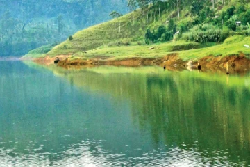 மவுசாகலை நீர் தேக்கத்தில் ஆணின் சடலம்