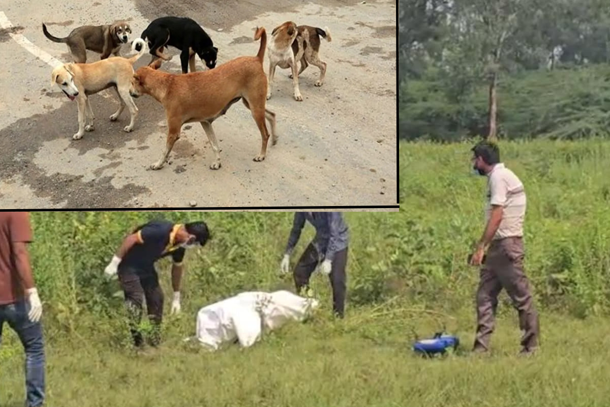 நாட்டை உலுக்கிய சம்பவம்; 17 வயது சிறுமி கூட்டுப்பாலியல் பலாத்காரம்; உடலை நாய்கள் தின்ற கொடூரம் | Teen Gang Raped Girl In Delhi Body Eaten Dogs நாட்டை உலுக்கிய சம்பவம்; 17 வயது சிறுமி கூட்டுப்பாலியல் பலாத்காரம்; உடலை நாய்கள் தின்ற கொடூரம் | Teen Gang Raped Girl In Delhi Body Eaten Dogs