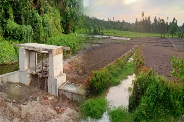 தமிழர்களின் நுண் நோக்கிற்கான சான்றாக அமையும் நெற்செய்கை முறை