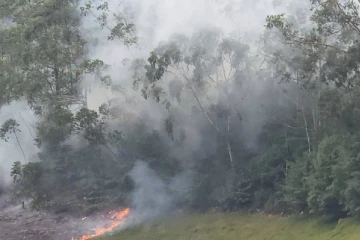 ජාතික විදුලි උත්පාදනයට ජලය සපයන කාසල්රි ජලාශයේ ප්‍රධාන දුපතේ විශාල ගින්නක් - පාලනයට කිසිවෙක් නෑ