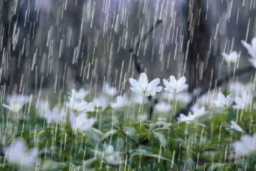 நாட்டின் பல பகுதிகளில் மழைக்கு வாய்ப்பு