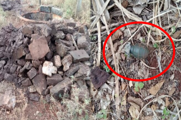 யாழ் புன்னாலைக்கட்டுவனில் கைக்குண்டு; விசேட அதிரடிப் படையினருக்கு நீதிமன்றின் உத்தரவு | Hand Grenade Found In Punnalaikattuvan Jaffna