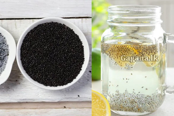 කසකසා ඇට ගැන ඔබ මේ දේවල් දැන සිටියාද? | Did You Know These Things About Pumpkin Seeds