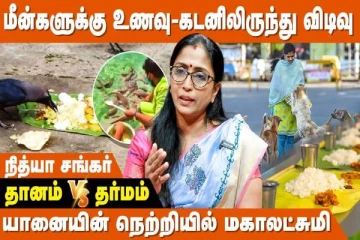 கடன்தொல்லை நீங்க மீன்களுக்கு உணவளியுங்கள்