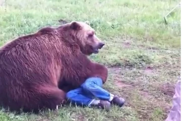 கரடி தாக்கியதில் குடும்பஸ்தர் படுகாயம்