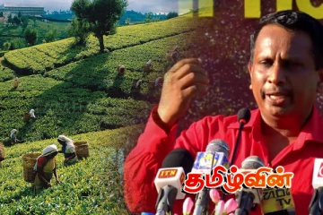 3 ஆண்டுகளுக்கு பிறகு கேள்விக்குறியாகுமா தோட்டத் தொழிலாளர்களின் சம்பளம்..!