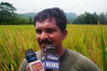 நெல்லுக்கான நிர்ணய விலை வேண்டும்: கவலை தெரிவிக்கும் விவசாயிகள் (Video)