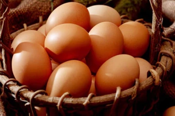 இறக்குமதி செய்யப்படும் முட்டை தொடர்பில் விசேட அறிவித்தல்