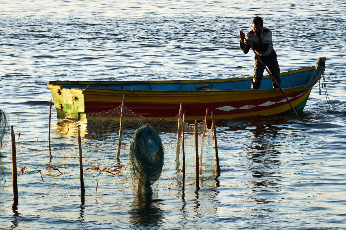 யாழ்ப்பாண கடற்பரப்பில் சட்டவிரோத மீன்பிடி: இந்திய கடற்றொழிலாளர்கள் மீது குற்றச்சாட்டு | Illegal Fishing In Jaffna Waters
