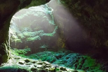 பேய்களின் சமையலறை இது தான் - கொடைக்கானலில் உள்ள குணா குகை பற்றிய உண்மை தகவல்