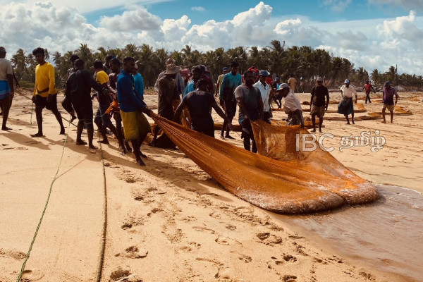 கரைவலைத் தொழிலாளர்களுக்கு விடுக்கப்பட்டுள்ள அதிரடி உத்தரவு...! | Ban On Using Tractors For Beach Seine Fishing கரைவலைத் தொழிலாளர்களுக்கு விடுக்கப்பட்டுள்ள அதிரடி உத்தரவு...! | Ban On Using Tractors For Beach Seine Fishing
