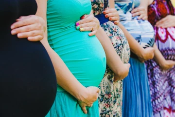 வடக்கில் உள்ள கர்ப்பிணிகளுக்கு  பால்மா வழங்க நடவடிக்கை