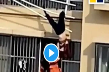 19-வது மாடியில் இருந்து தவறி விழும் 82 வயது பாட்டி - பின்னர் நடந்த சுவாரசியம்; வைரல் வீடியோ!