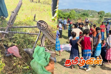 யானை தாக்கி முதியவர் பலி