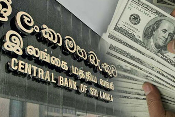 இலங்கைக்கு வந்துள்ள பெருந்தொகை பணம் - மத்தியவங்கி தகவல் | Dollars Coming To Sri Lanka Central Bank Report