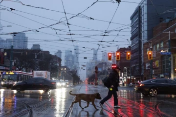 டொரோண்டோ நகரில் தீவிர மழை எச்சரிக்கை