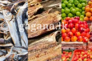 මෙරටට ආනයනය කරන ආහාර ද්රව්ය තුනක් සම්බන්ධයෙන් සමීක්ෂණයකින් හෙලී වූ දේ - ජුනී 01වැනි දා සිට වහාම මේ දේ අනිවාර්ය කරයි..
