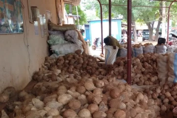 கிளிநொச்சியில் அதிரடி சோதனையில் அதிகாரிகள்!