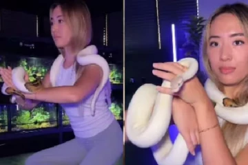 Viral Video: மலைப்பாம்புடன் யோகா செய்யும் பெண்