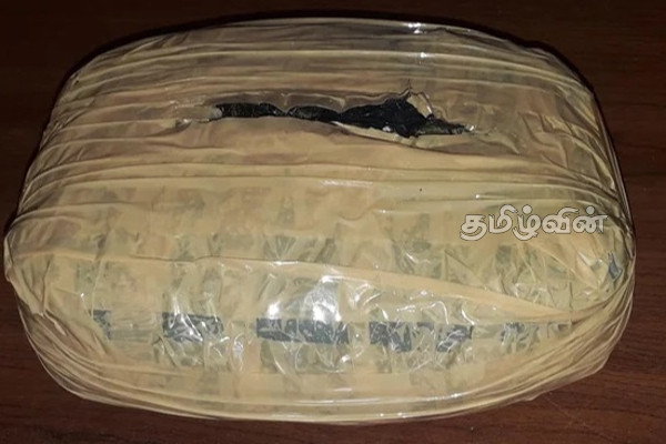 மன்னாரில் போதைப்பொருளுடன் பெண் ஒருவர் கைது | A Woman Arrested With Kerala Ganja In Mannar