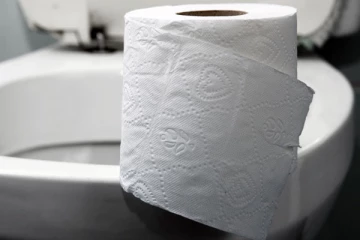 வெளிநாட்டில் எதற்காக கழிப்பறை காகிதம் பயன்படுத்துகின்றார்கள்.... தமிழர்களே இனி முழுசா தெரிஞ்சிக்கோங்க?