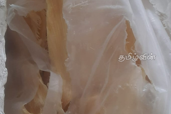 இலங்கைக்கு கடத்த முயன்ற ரூ.50 கோடி பெறுமதியான கடலட்டைகள் மற்றும் சுறா மீன்துடுப்பு மீட்பு (video) | 50 Crore Worth Of Squid Shark Fin Seized